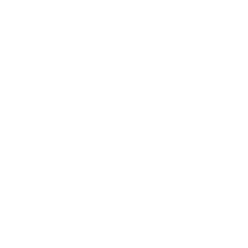 TOA BG Player Icon WHITE